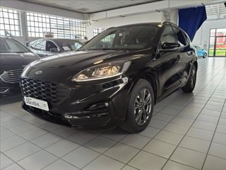FORD Kuga 2.5 full hybrid ST-Line 2wd 190cv cvt