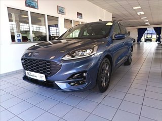 FORD Kuga 1.5 ecoblue ST-Line 2wd 120cv auto