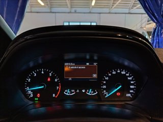 FORD Fiesta 5p 1.0 ecoboost h ST-Line 125cv