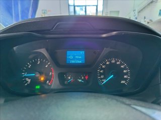 FORD Transit 350 tr.post. 2.0 tdci 170cv d.cab. entry L4 r.gem. E6