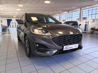 FORD Kuga 2.5 full hybrid ST-Line 2wd 190cv cvt