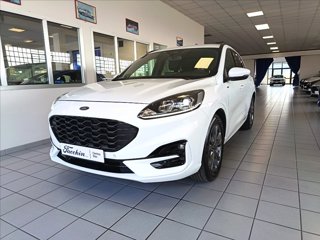 FORD Kuga 2.0 ecoblue ST-Line 2wd 120cv auto
