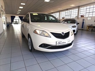 LANCIA Ypsilon 1.2 Gold ecochic Gpl 69cv my16
