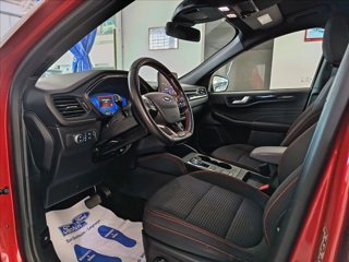 FORD Kuga 1.5 ecoblue ST-Line 2wd 120cv auto