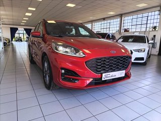 FORD Kuga 1.5 ecoblue ST-Line 2wd 120cv auto