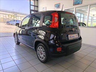 FIAT Panda 1.0 firefly hybrid s&s 70cv 5p.ti