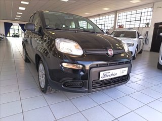 FIAT Panda 1.0 firefly hybrid s&s 70cv 5p.ti