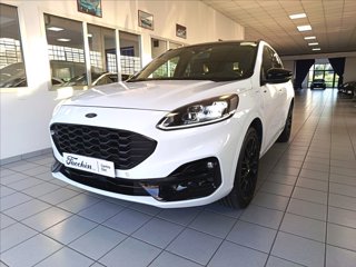 FORD Kuga 2.5 phev ST-Line X 2wd 225cv cvt Black Pack