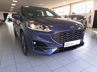 FORD Kuga 2.5 phev ST-Line 2wd 225cv cvt